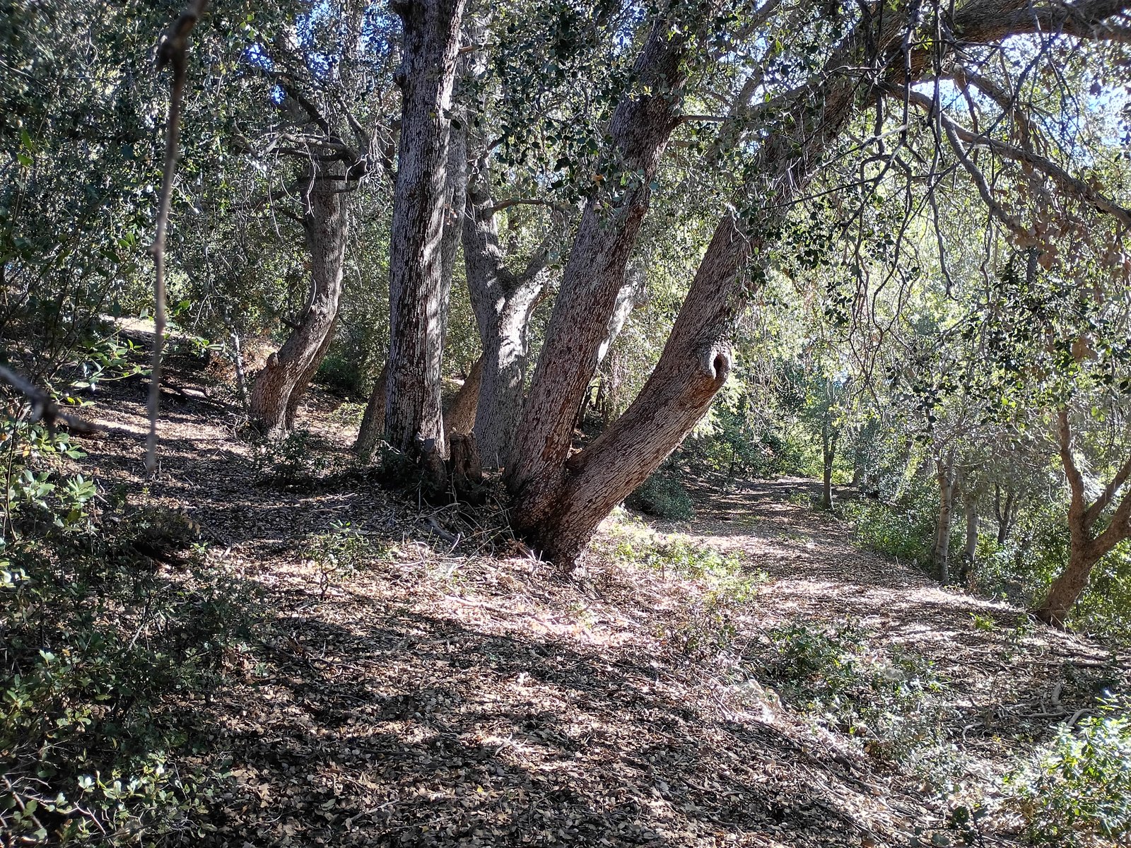 Photo 2 of 7