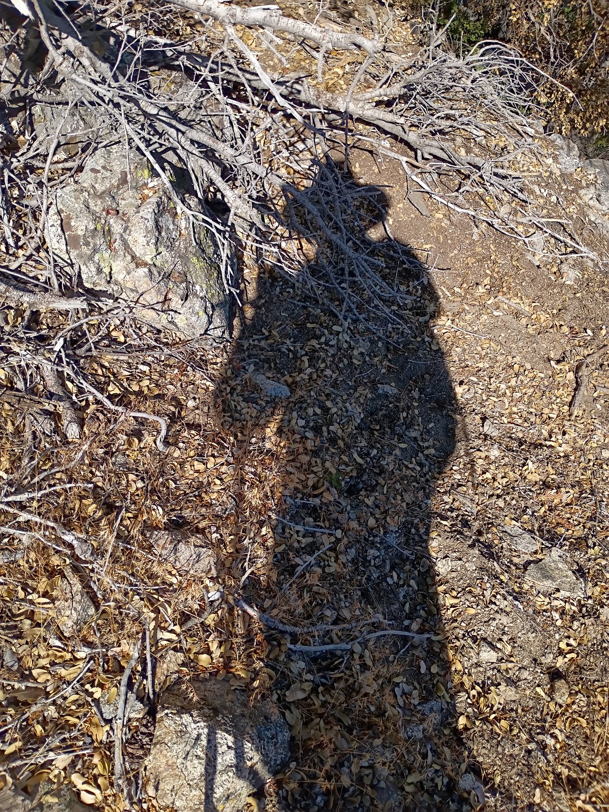 Photo 4 of 7